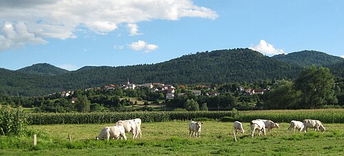 Kamnik pod Krimom (Brezovica)