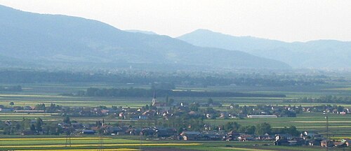 Cirkovce (Kidričevo)
