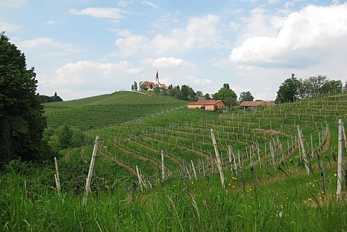 Ormož (Podravska)