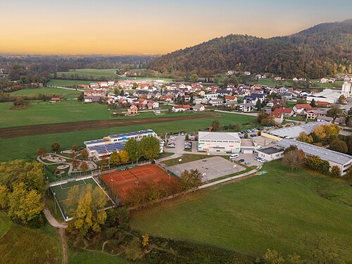 Videm (Dol pri Ljubljani)