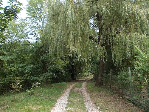 Dežno pri Podlehniku (Podlehnik)