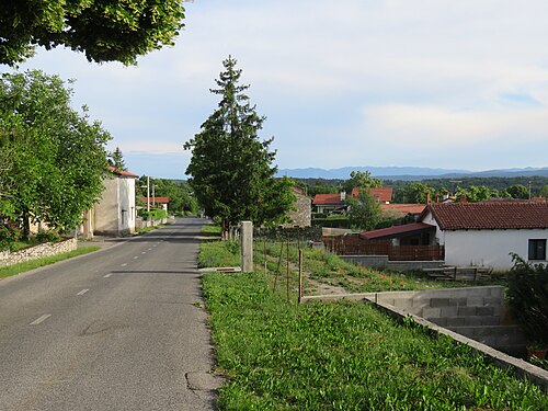 Kačiče-Pared (Divača)