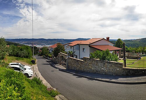 Cerej (Koper)