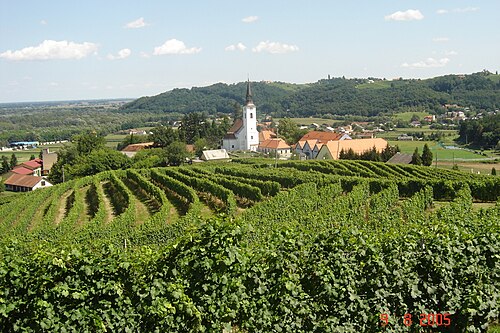 Zavrč (Podravska)