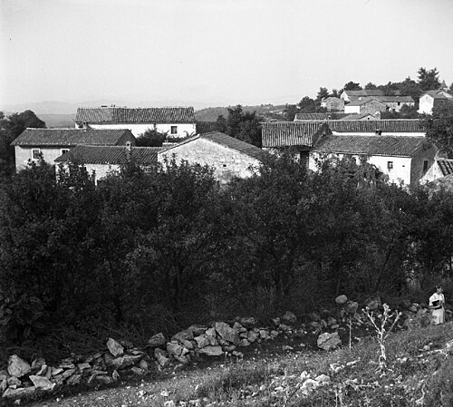 Račice (Ilirska Bistrica)