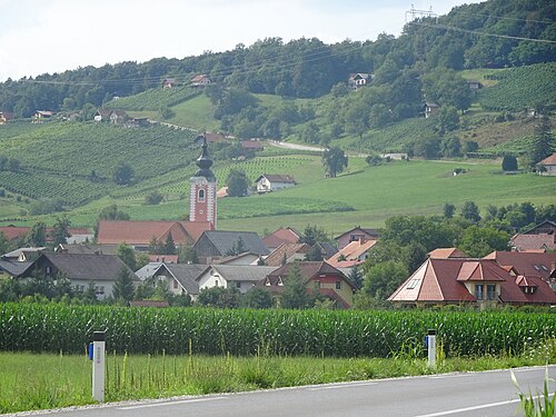 Žiče (Slovenske Konjice)