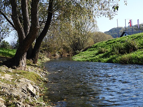Tržec (Videm)