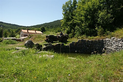 Merče (Sežana)