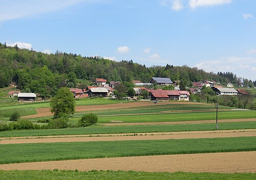 Znojile pri Krki (Ivančna Gorica)