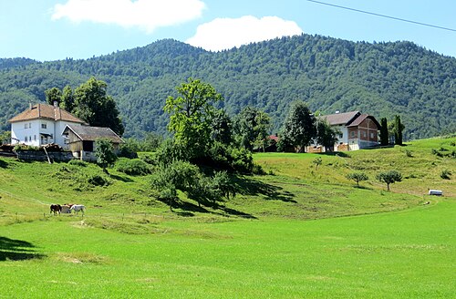 Kot pri Ribnici (Ribnica)