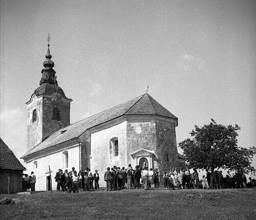 Tolsti Vrh (Šentjernej)