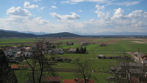 Homec (Domžale)