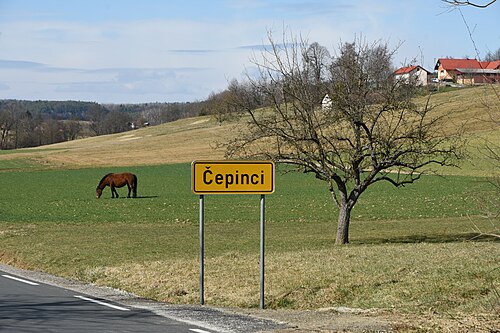 Čepinci (Šalovci)