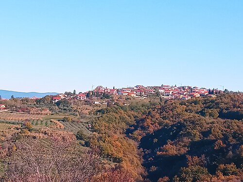 Šared (Izola)