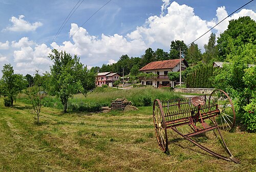 Narin (Pivka)