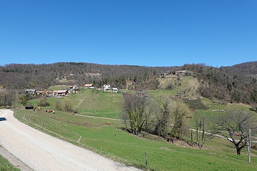 Reštanj (Krško)