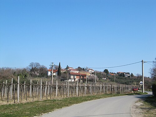 Barizoni (Koper)