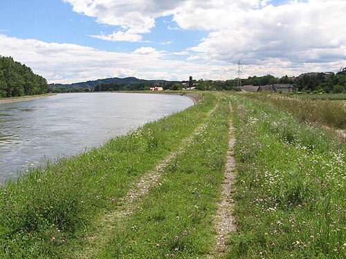 Zlatoličje (Starše)