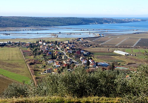Sečovlje (Piran)