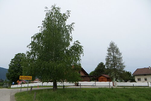 Cvišlerji (Kočevje)