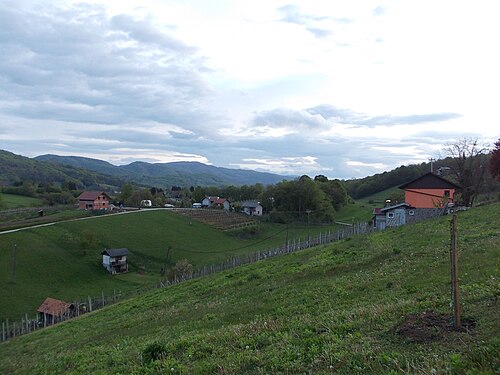 Žejno (Brežice)