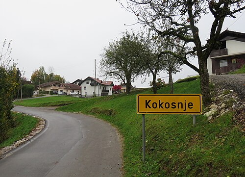 Kokošnje (Domžale)