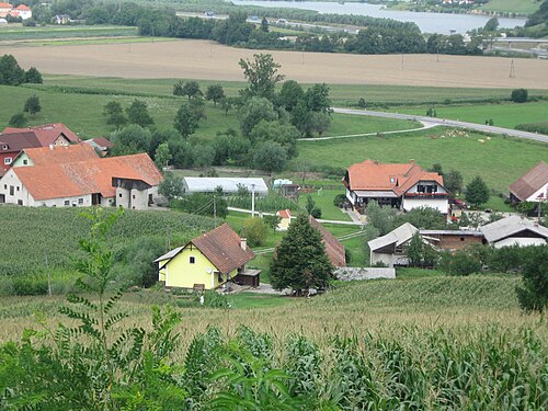 Ložane (Pesnica)