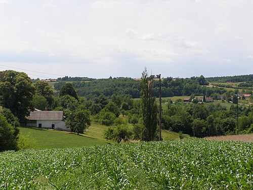 Budinci (Šalovci)
