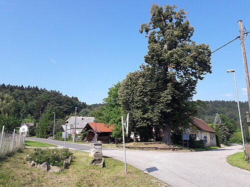 Kopivnik (Rače - Fram)