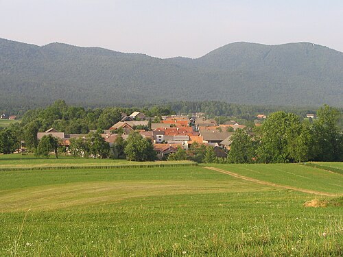 Sušje (Ribnica)