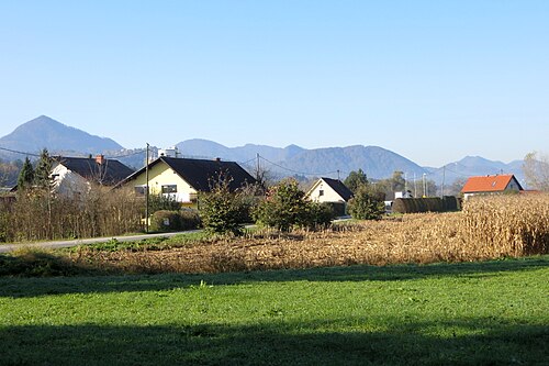 Medlog (Celje)