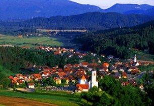 Ljubno (Savinjska)