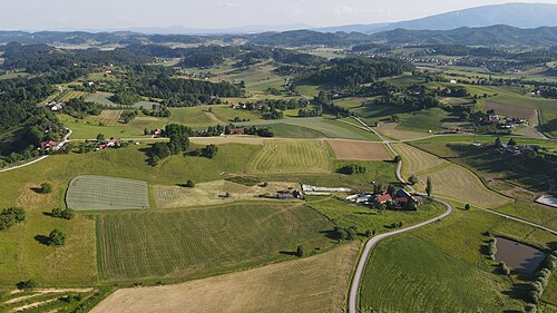 Gačnik (Pesnica)