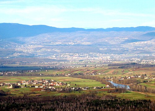Griblje (Črnomelj)