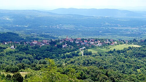 Radovica (Metlika)