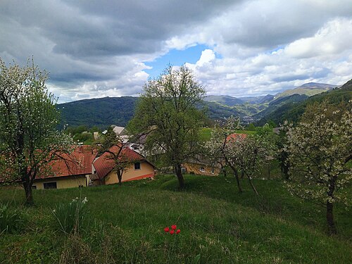 Radež (Sevnica)