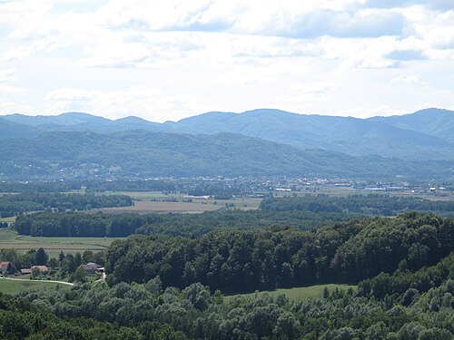 Brežice (Posavska)
