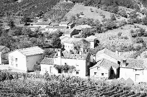 Orehovica (Vipava)