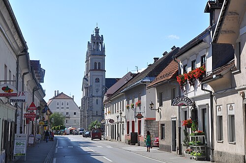 Ribnica (Jugovzhodna Slovenija)