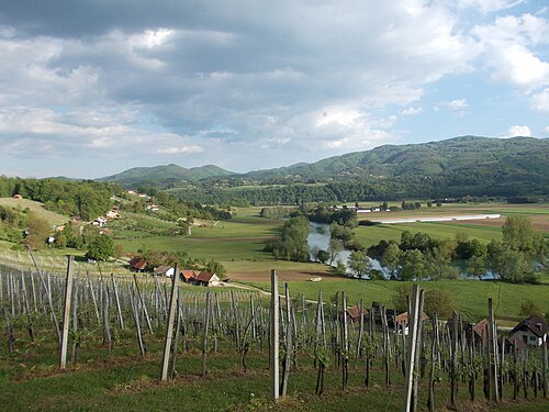 Gazice (Brežice)