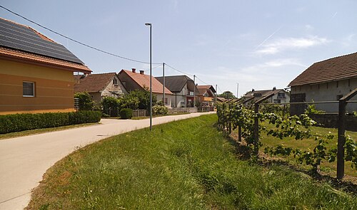 Borejci (Tišina)