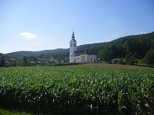 Brezovica (Osrednjeslovenska)