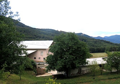 Gozd (Ajdovščina)