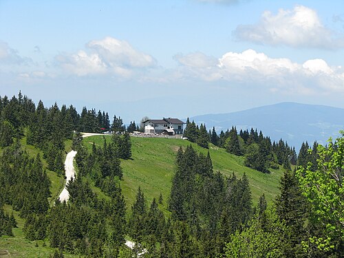 Ribnica na Pohorju (Koroška)