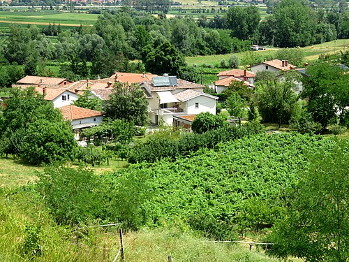 Dolenje (Ajdovščina)