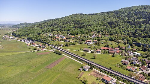 Pako (Borovnica)