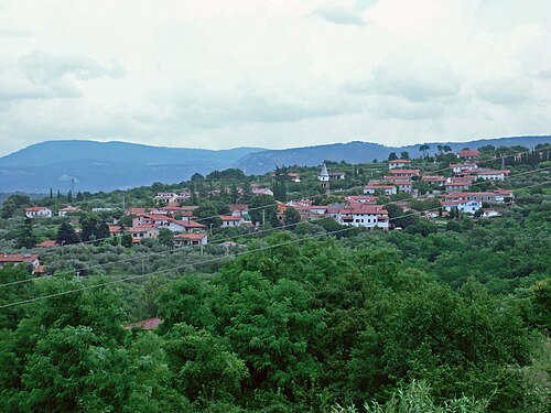 Plavje (Koper)