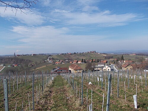 Radenski Vrh (Radenci)