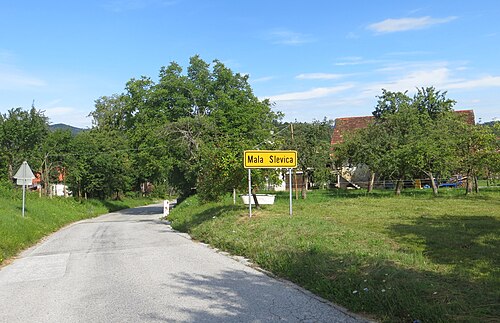 Mala Slevica (Velike Lašče)