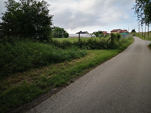 Zrkovci (Maribor)